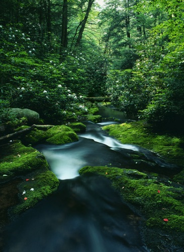 VanCampen Brook Vertical, Delaware Water Gap National Recreation Area, Warren County, NJ (MF).jpg